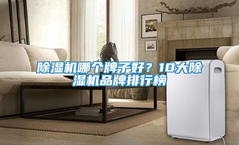 除濕機哪個牌子好？10大除濕機品牌排行榜