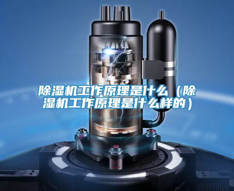 除濕機工作原理是什么(除濕機工作原理是什么樣的)