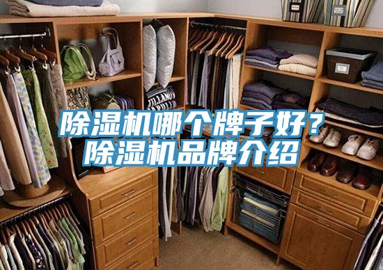 除濕機哪個牌子好？除濕機品牌介紹