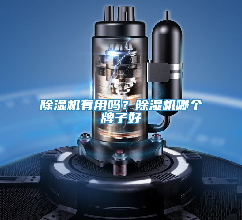 除濕機(jī)有用嗎?除濕機(jī)哪個(gè)牌子好