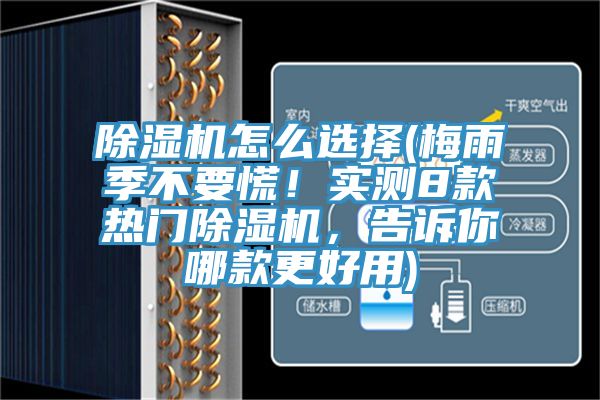 除濕機(jī)怎么選擇(梅雨季不要慌！實(shí)測(cè)8款熱門(mén)除濕機(jī)，告訴你哪款更好用)