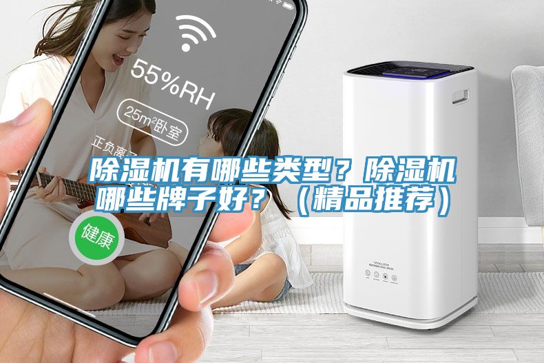 除濕機有哪些類型？除濕機哪些牌子好？（精品推薦）